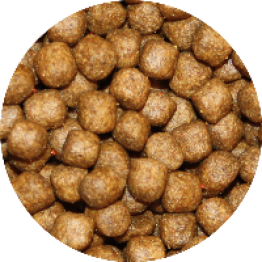 shop4409500.pictures.Vivani premium grower 6 mm 2008